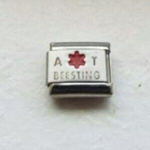 Allergic to bee sting alert laser 9mm stainless steel italian charm link new